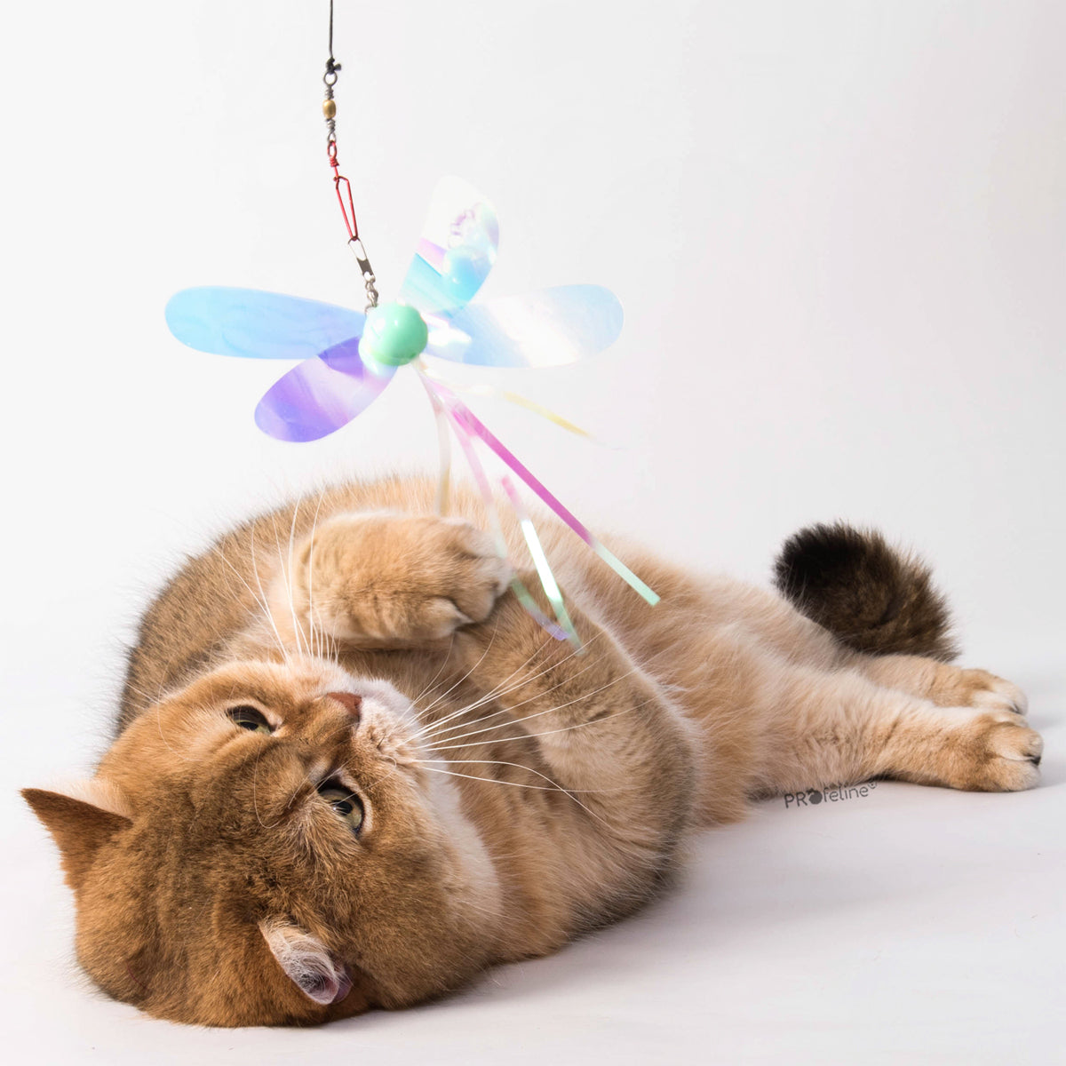 Profeline Holographic Butterflies Cat Toy, With Ribbon Tail | at Made Moggie