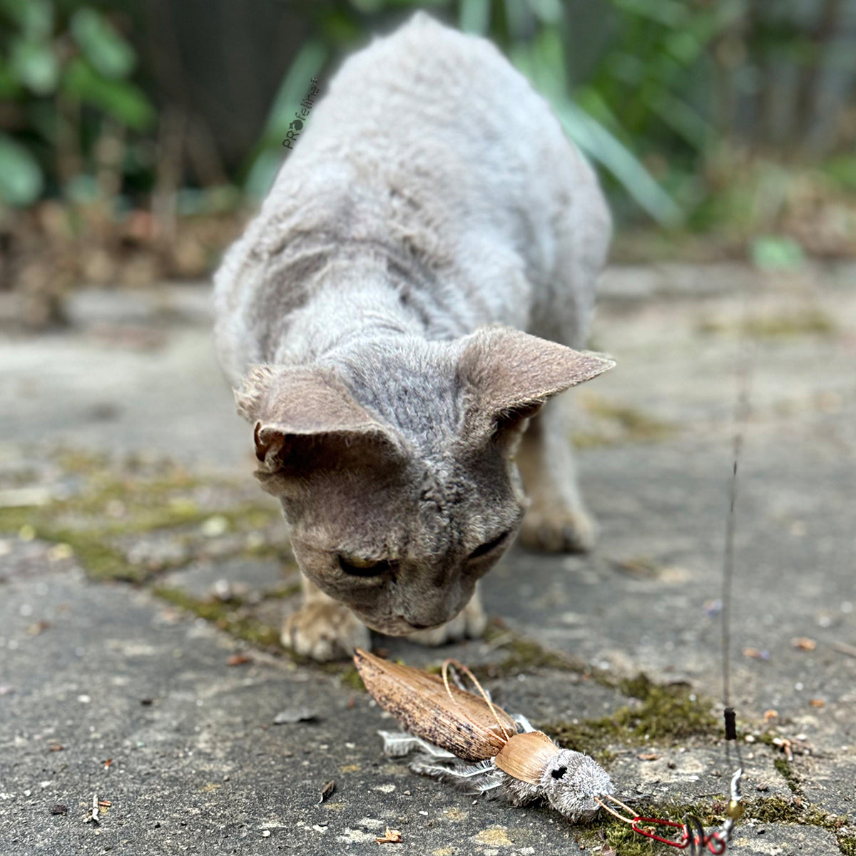 Profeline La Cucaracha Cat Toy, Handmade With Feathers & Bristles | at Made Moggie