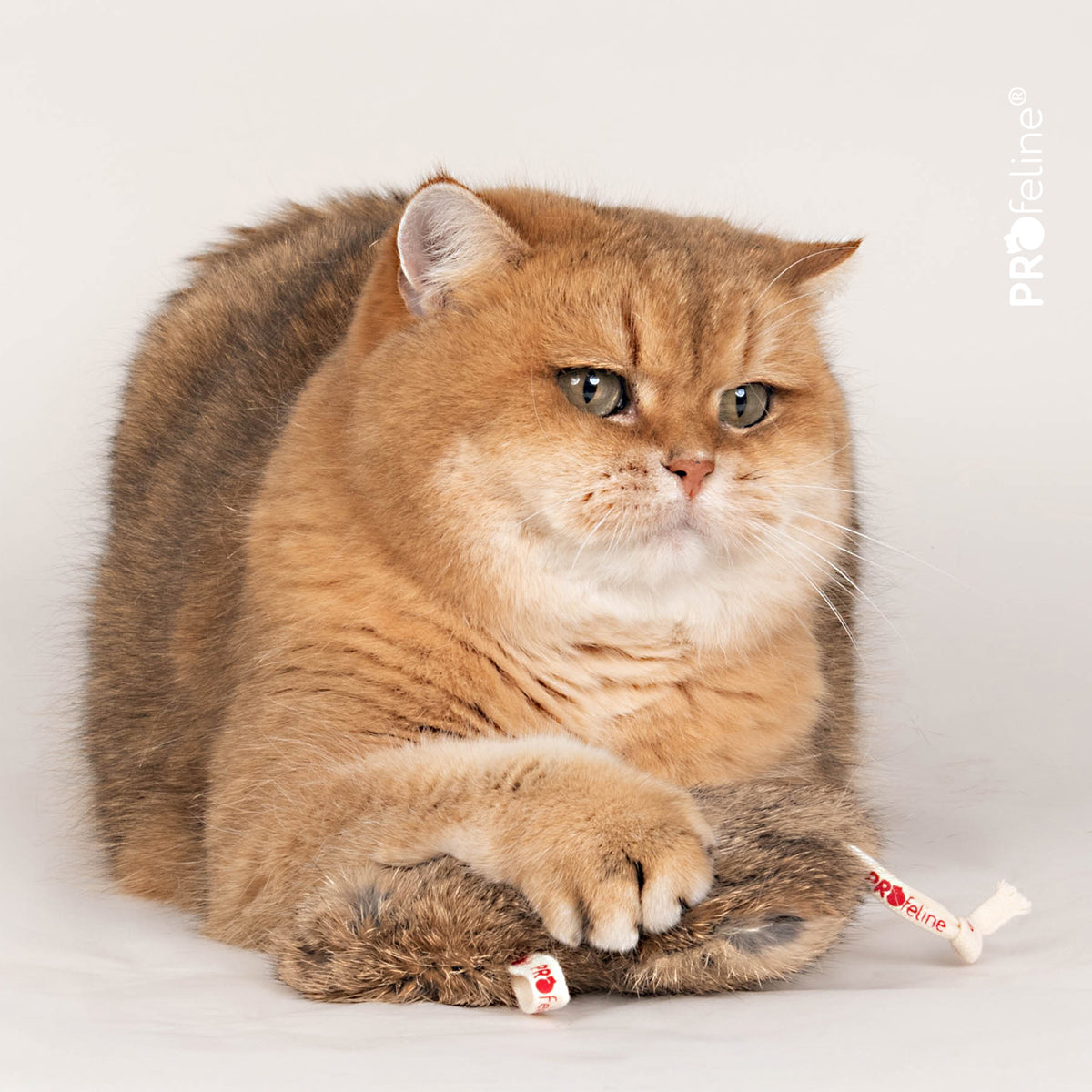Profeline Munchy Hamster Rabbit Fur Refill, Cat Toy | at Made Moggie