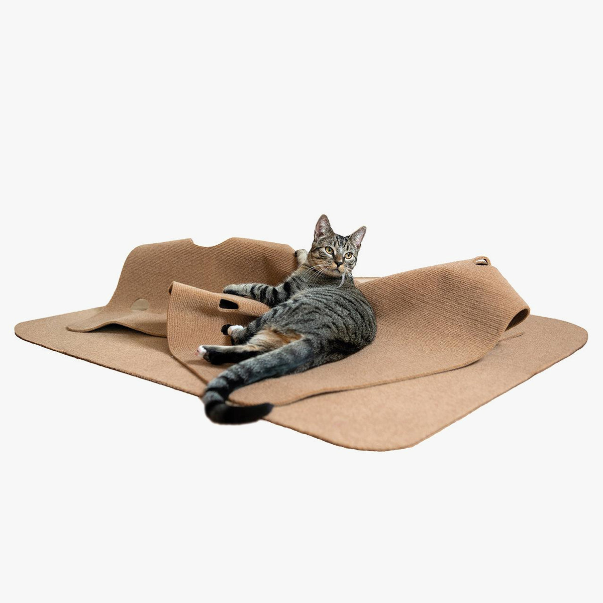 CanadianCat Playmat For Cats - Ripple Rug Cat Toy, Cat Activity Mat In Beige Fabric | at Made Moggie