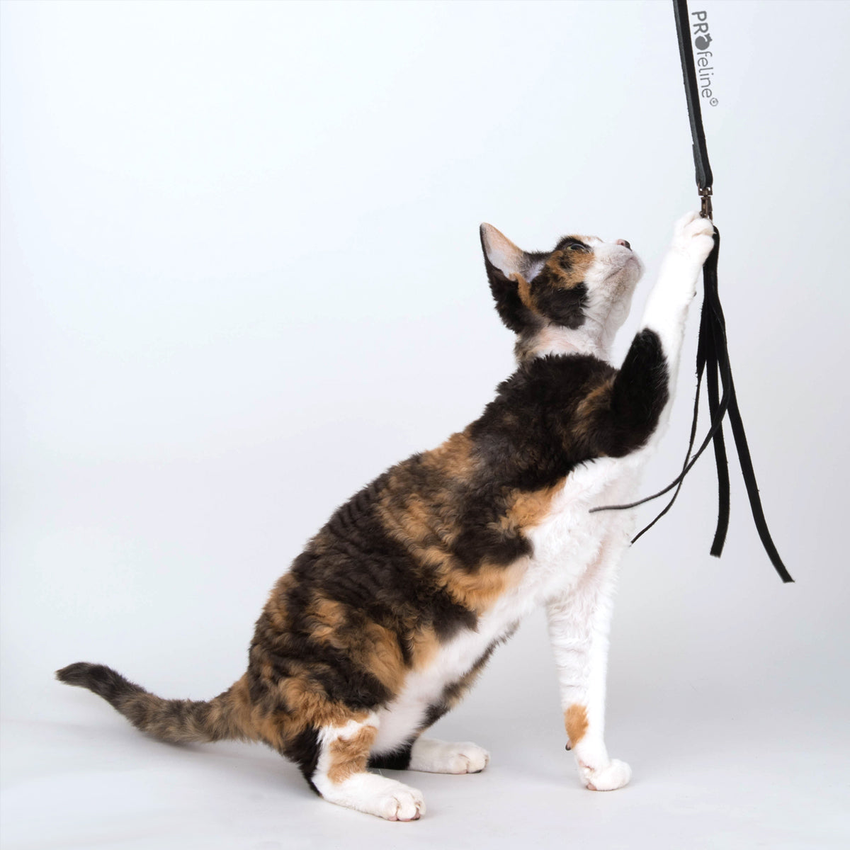 Profeline Leather Fringe Cat Toy, Swinging Attachment for Cat Wands | at Made Moggie