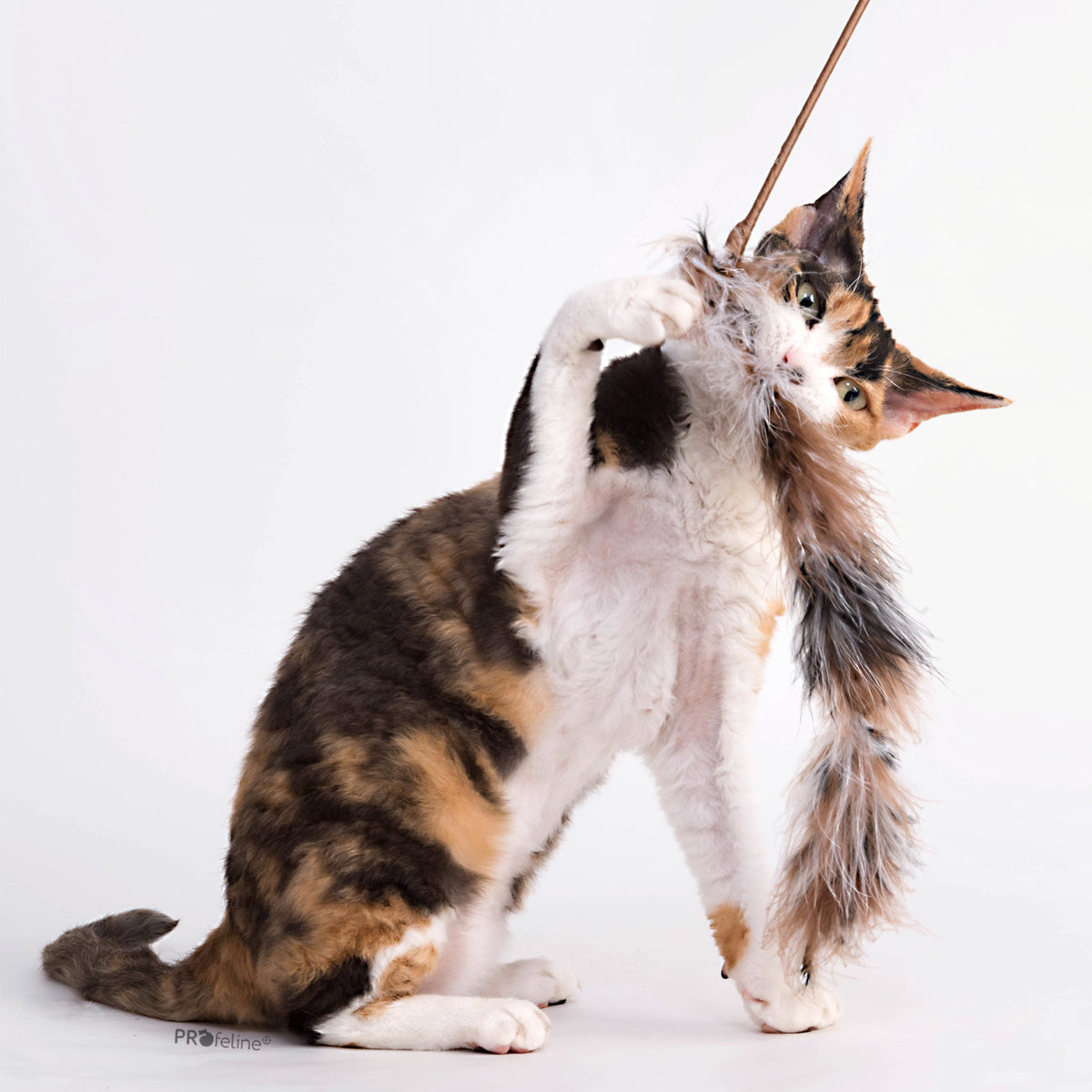 Profeline Teaser Boa Tail Cat Toy, With Feathers | at Made Moggie