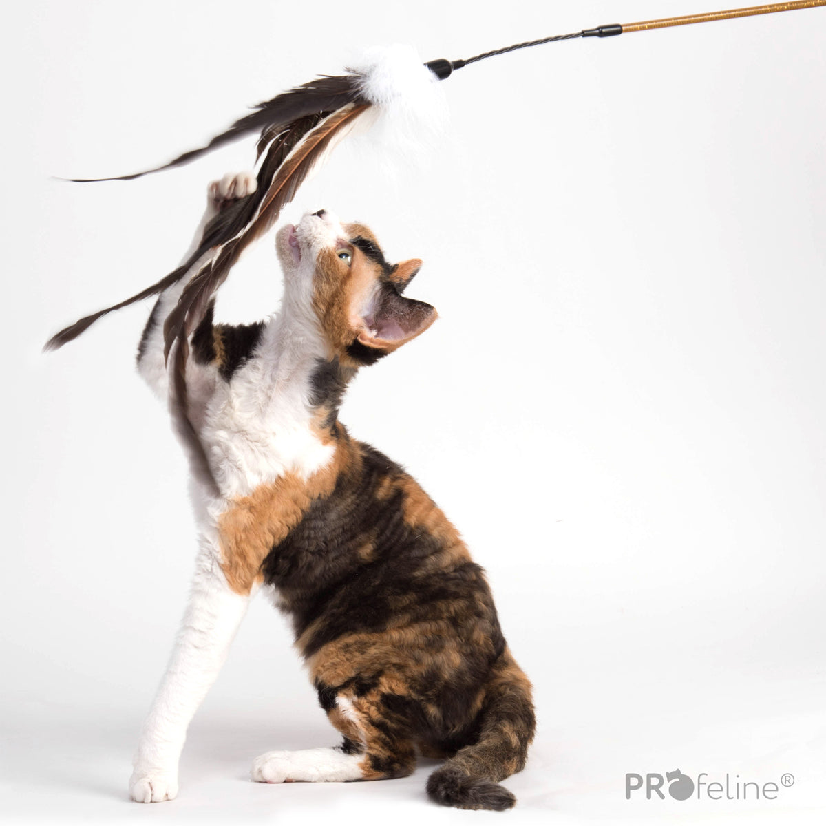 Profeline Teaser Rooster Dancer, Cat Feather Wand Toy | at Made Moggie