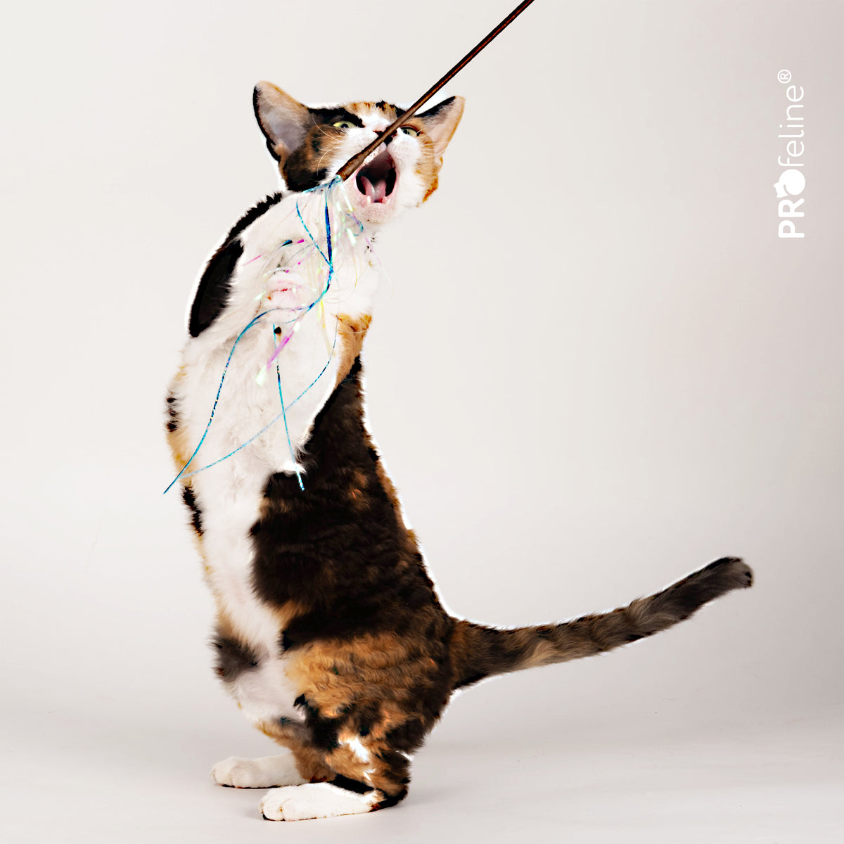 Profeline Teaser Glitzy Glitter Cat Toy, With Mylar Strips | at Made Moggie