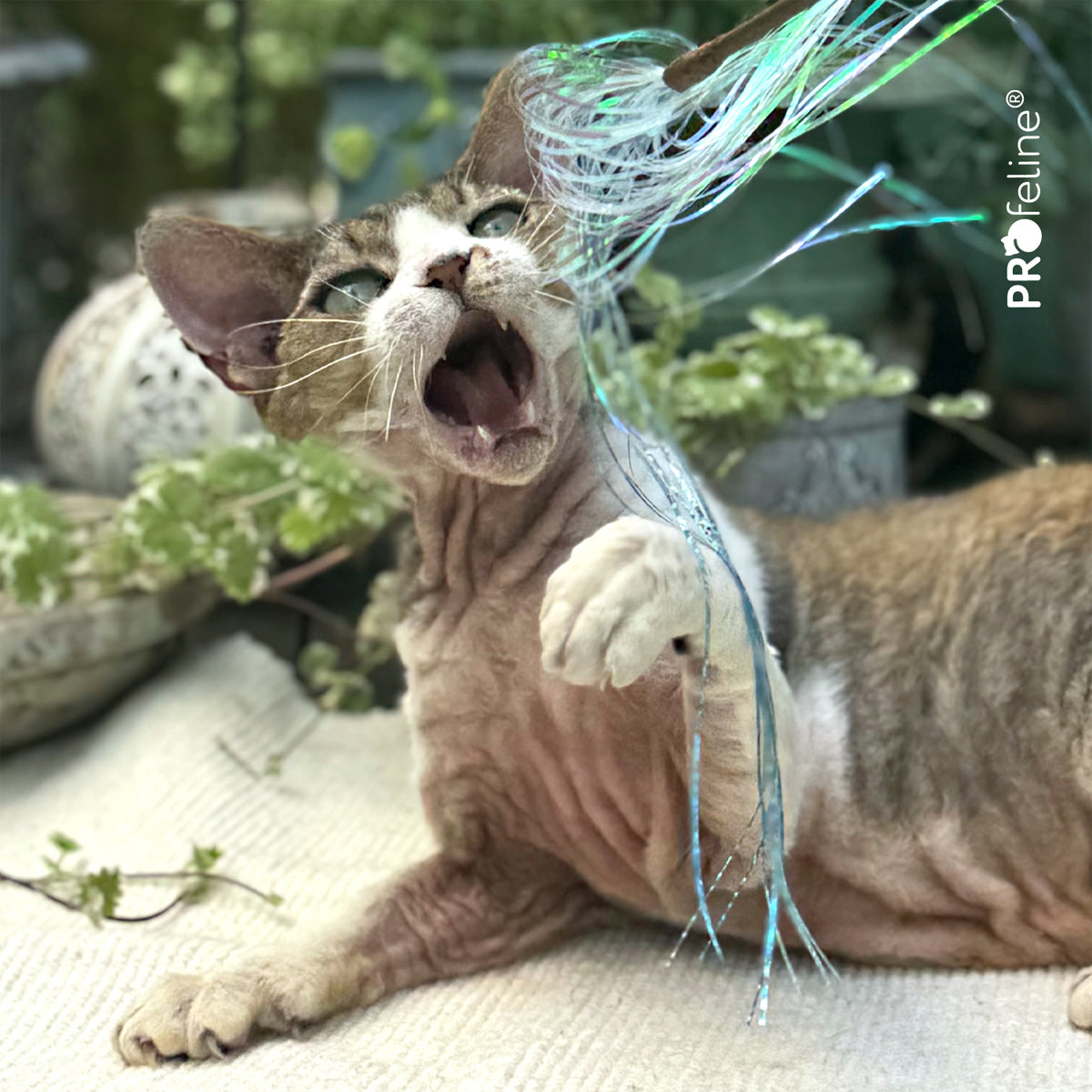 Profeline Teaser Glitzy Glitter Cat Toy, With Mylar Strips | at Made Moggie