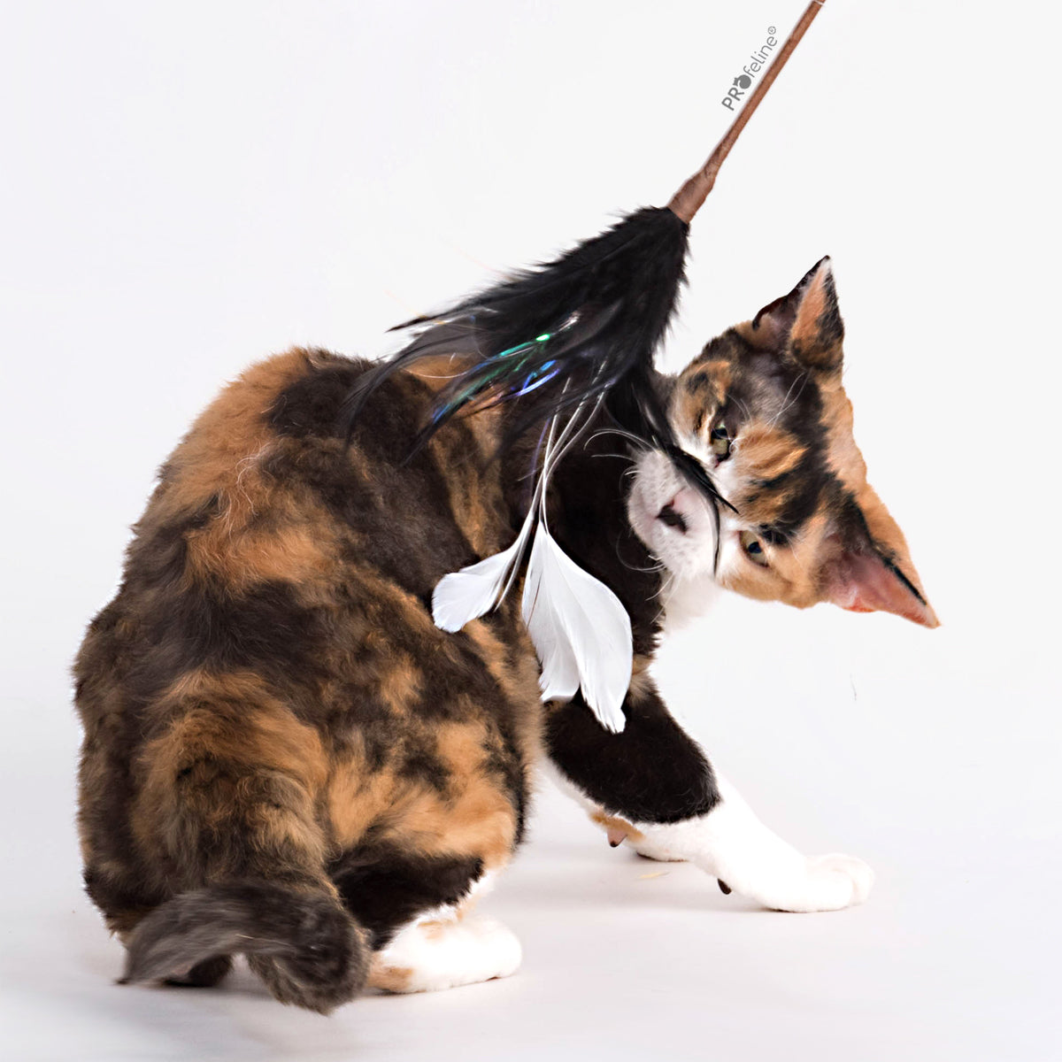 Profeline Cat Teaser Mystic Feathers, Cat Feather Wand | at Made Moggie