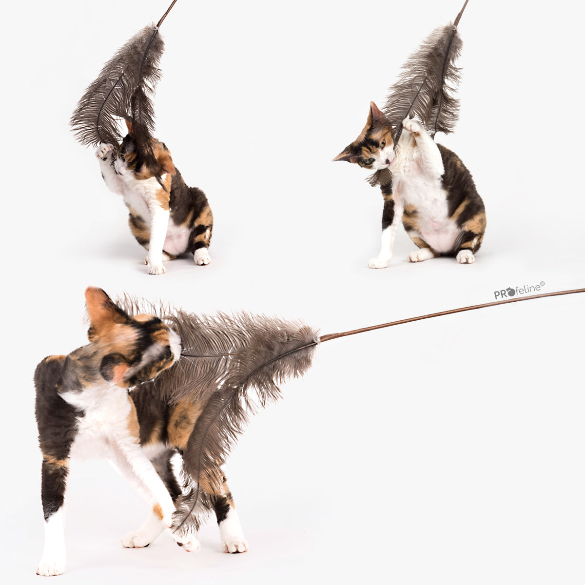 Profeline Ostrich Feather Cat Teaser Toy | at Made Moggie