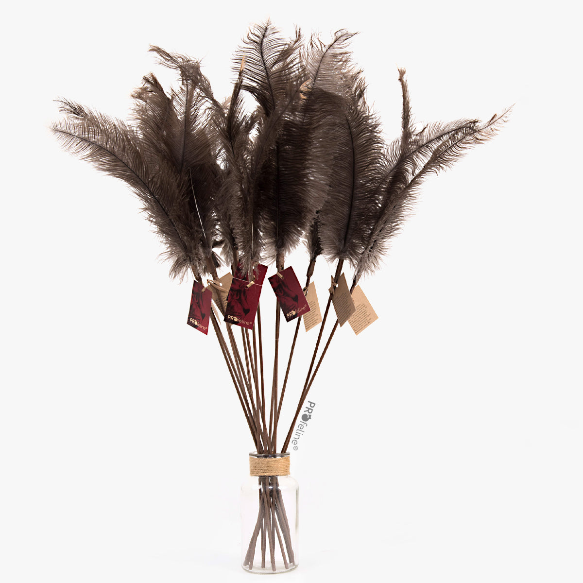 Profeline Teaser Ostrich Feathers Cat Toy | at Made Moggie