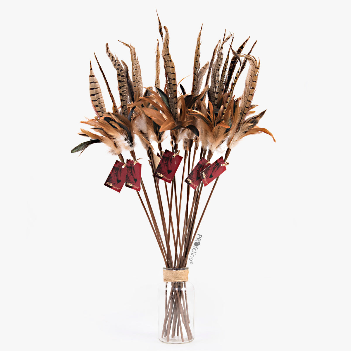 Profeline Teaser Pheasant Feather Cat Toy | at Made Moggie