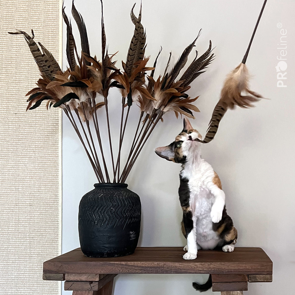 Profeline Teaser Pheasant Feather Cat Toy | at Made Moggie