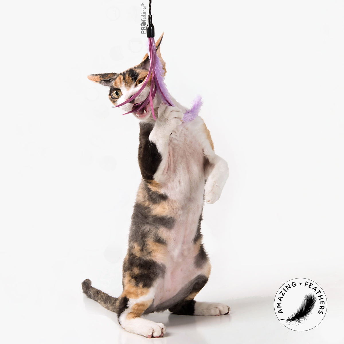 Profeline Feather Cat Toy, Teaser Pipe Wiper | at Made Moggie