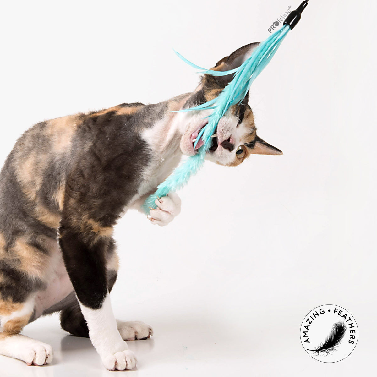 Profeline Teaser Pipe Wiper Cat Feather Toy | at Made Moggie