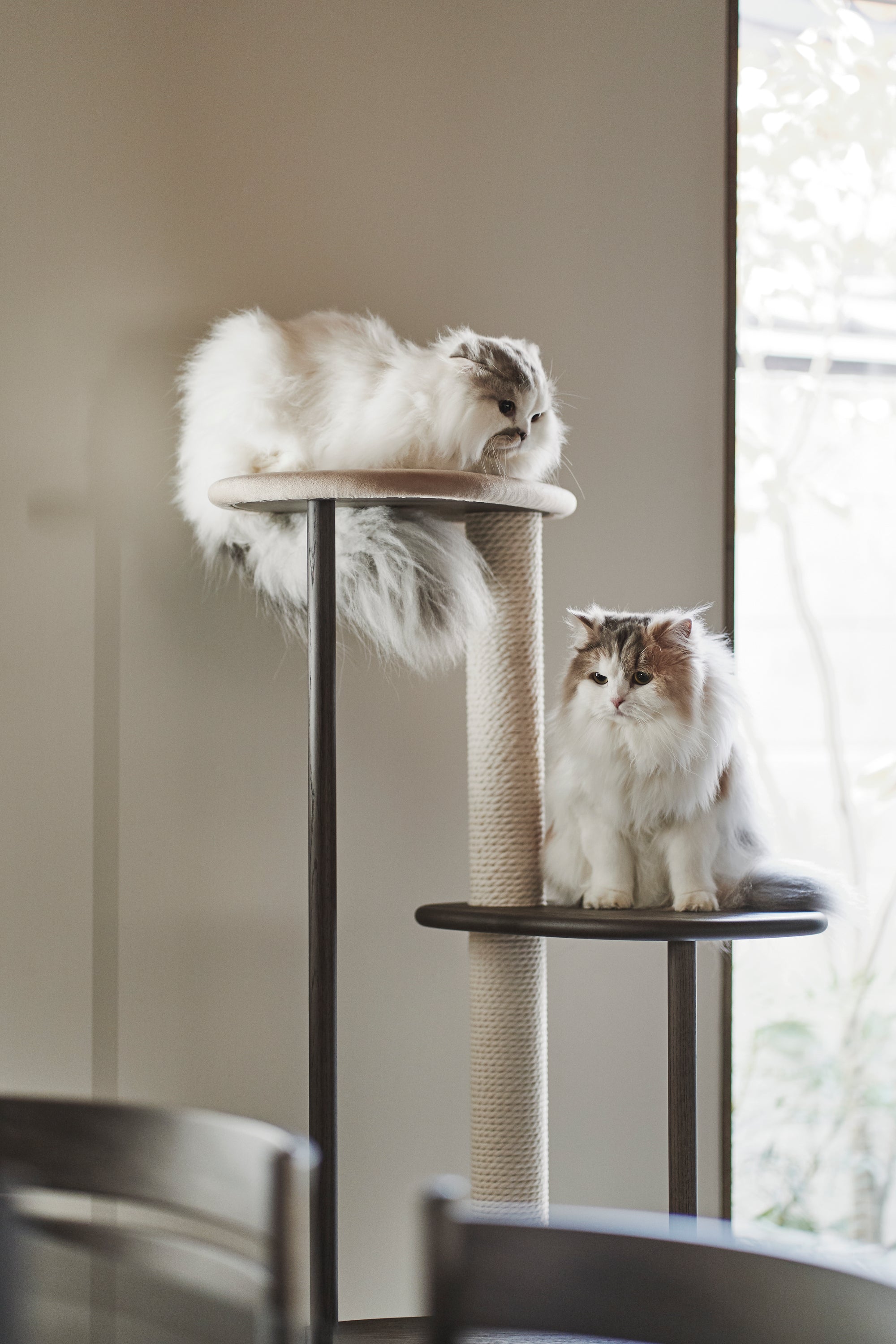 Karimoku Cat Luxury Cat Tree, In Smoked Oak With Cotton Cat Scratching Post | at Made Moggie