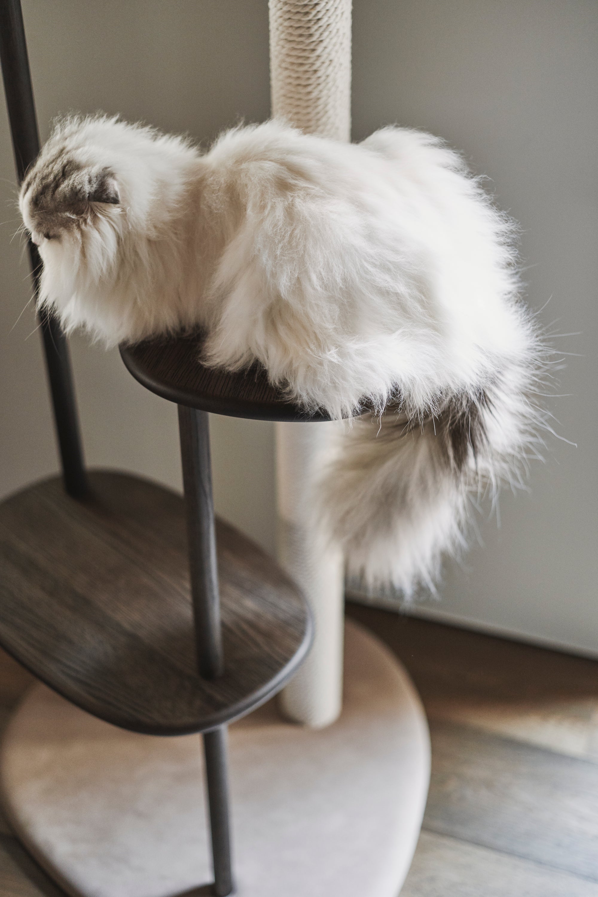 Karimoku Cat Luxury Cat Tower, In Smoked Oak With Cotton Cat Scratching Post | at Made Moggie