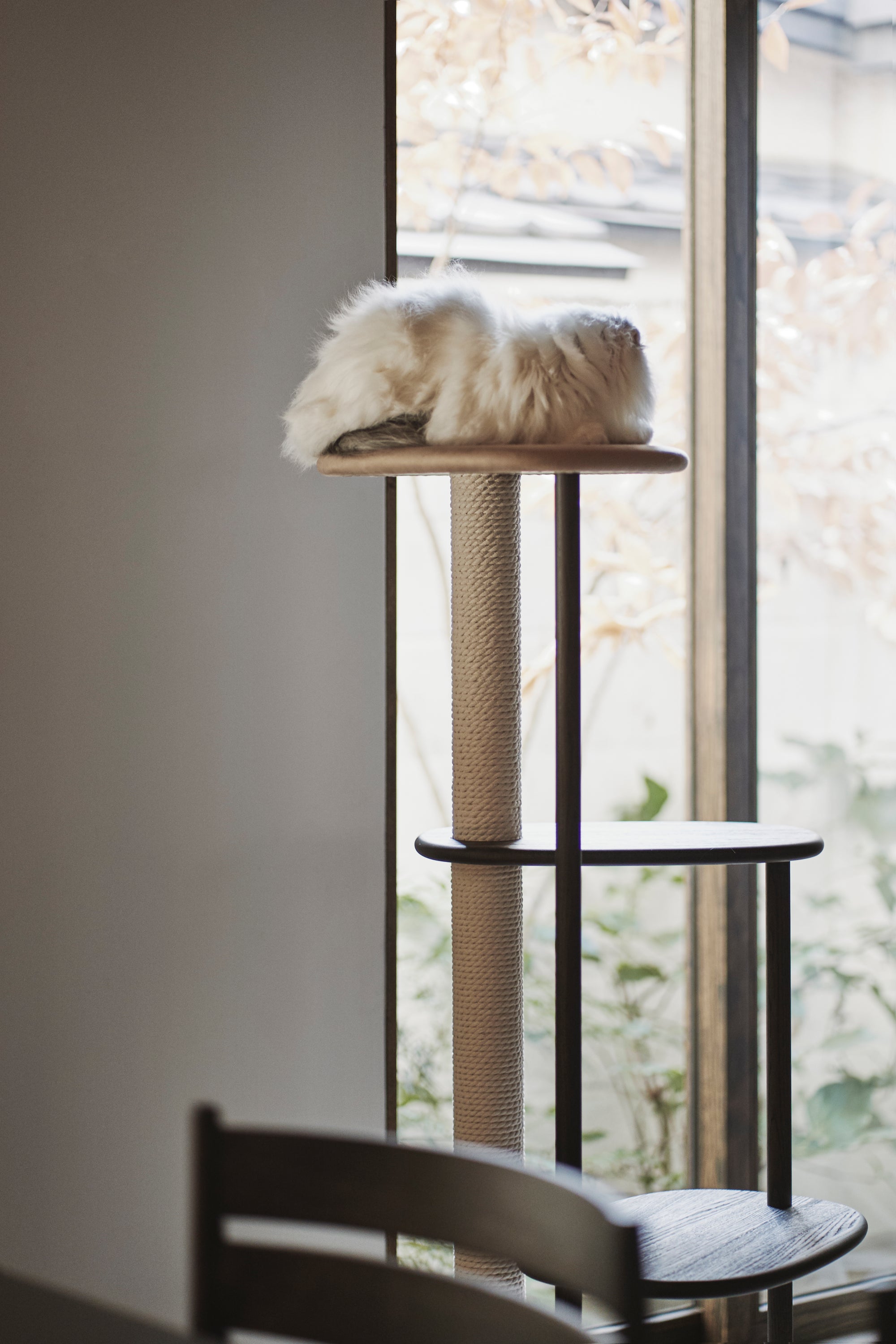 Karimoku Cat Luxury Cat Tree, In Smoked Oak With Cotton Cat Scratching Post | at Made Moggie