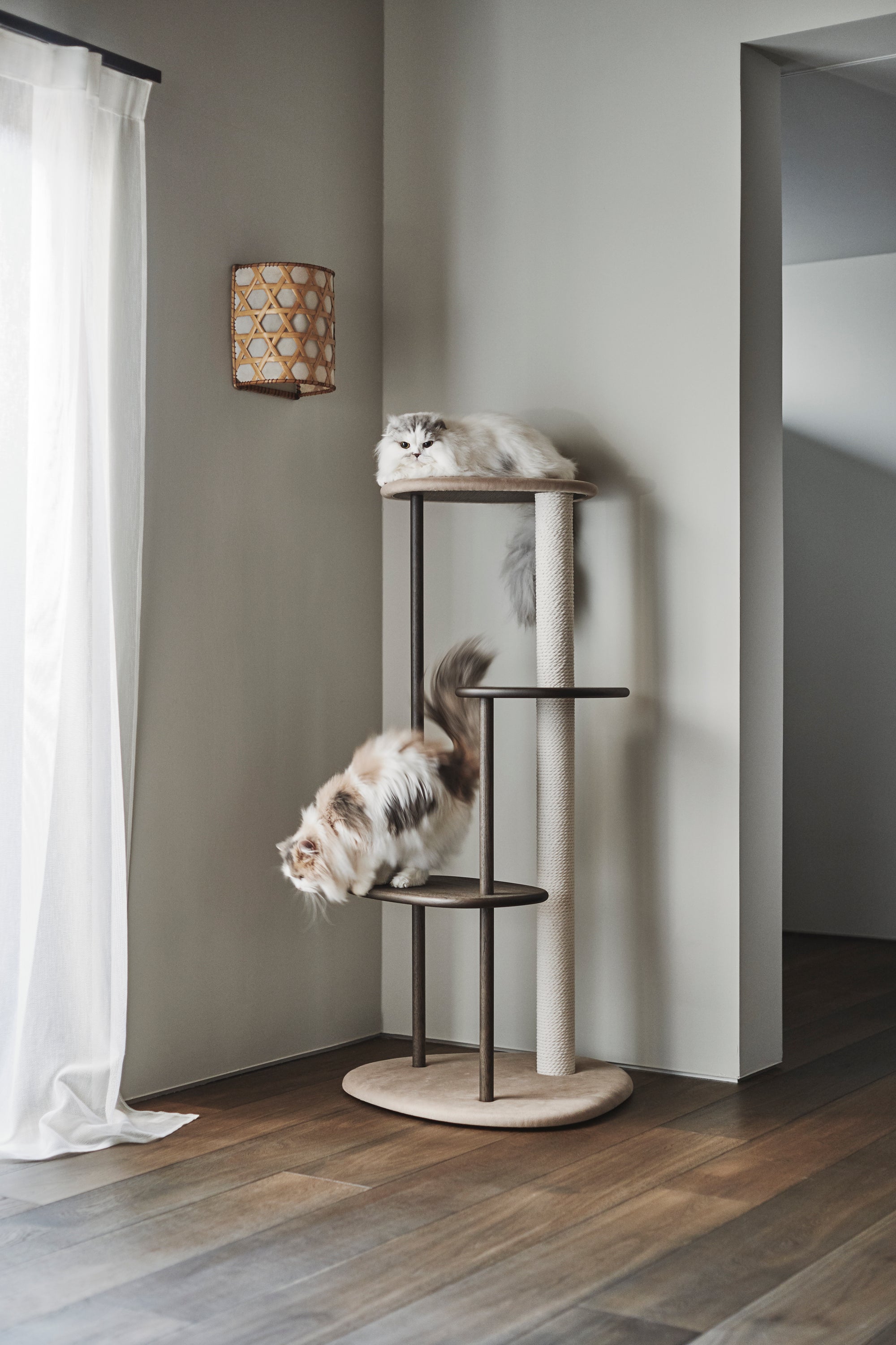 Karimoku Cat Luxury Cat Tree, In Smoked Oak With Cotton Cat Scratching Post | at Made Moggie