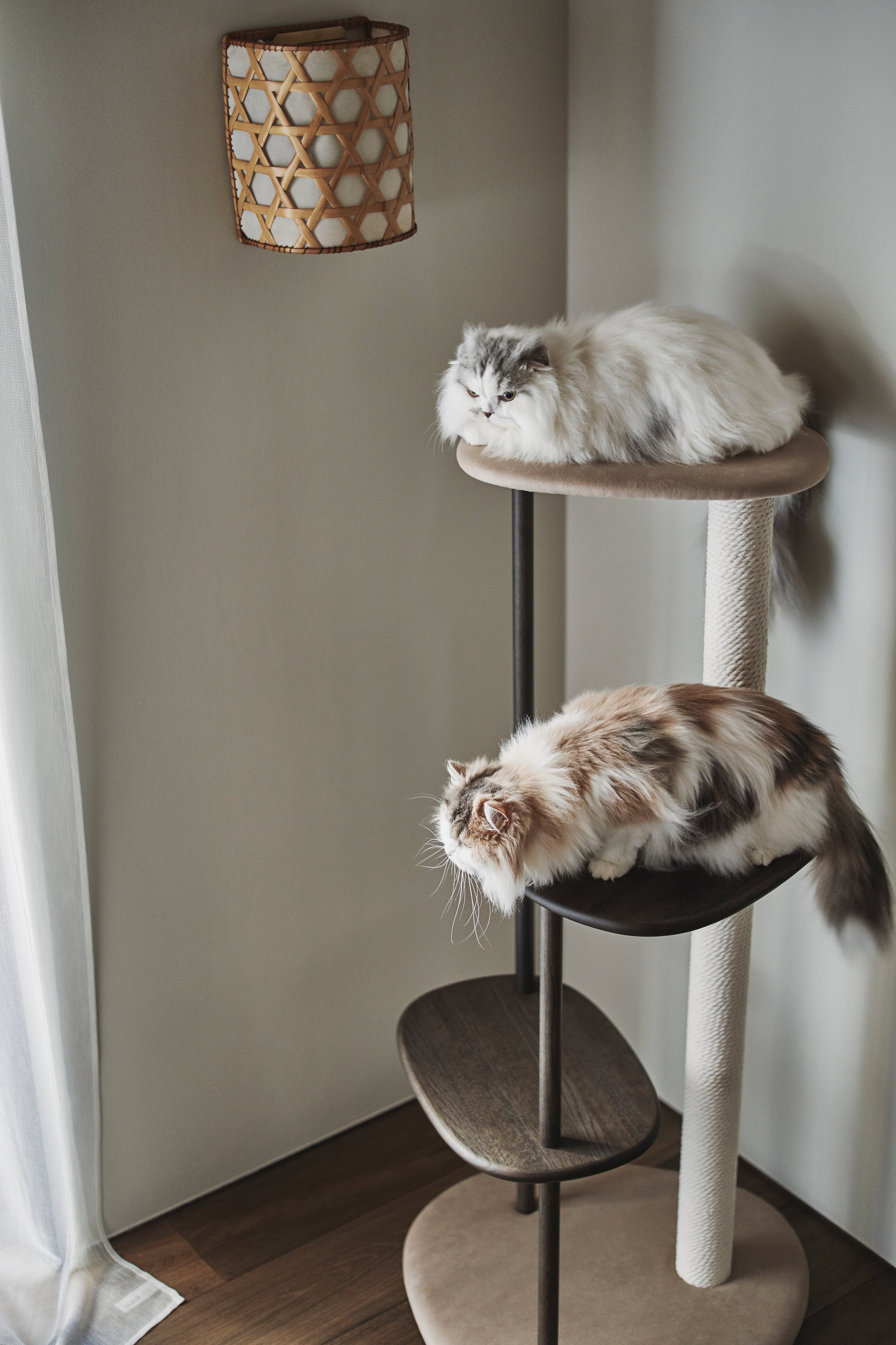 KARIMOKU CAT Debuts 'Greige & Smoked Oak' Cat Tree for World Cat Day