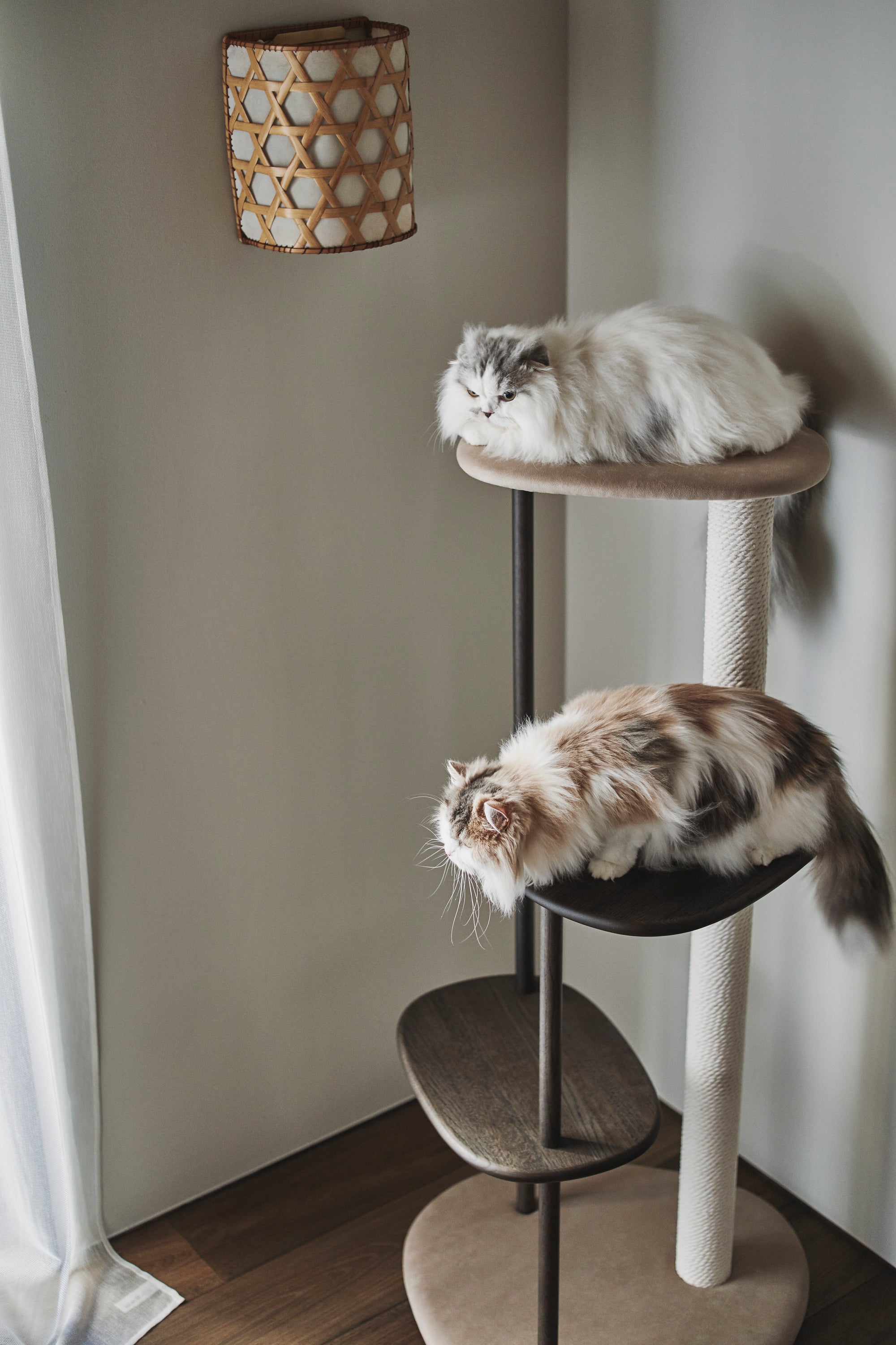 Karimoku Cat Luxury Cat Tree, In Smoked Oak With Cotton Cat Scratching Post | at Made Moggie