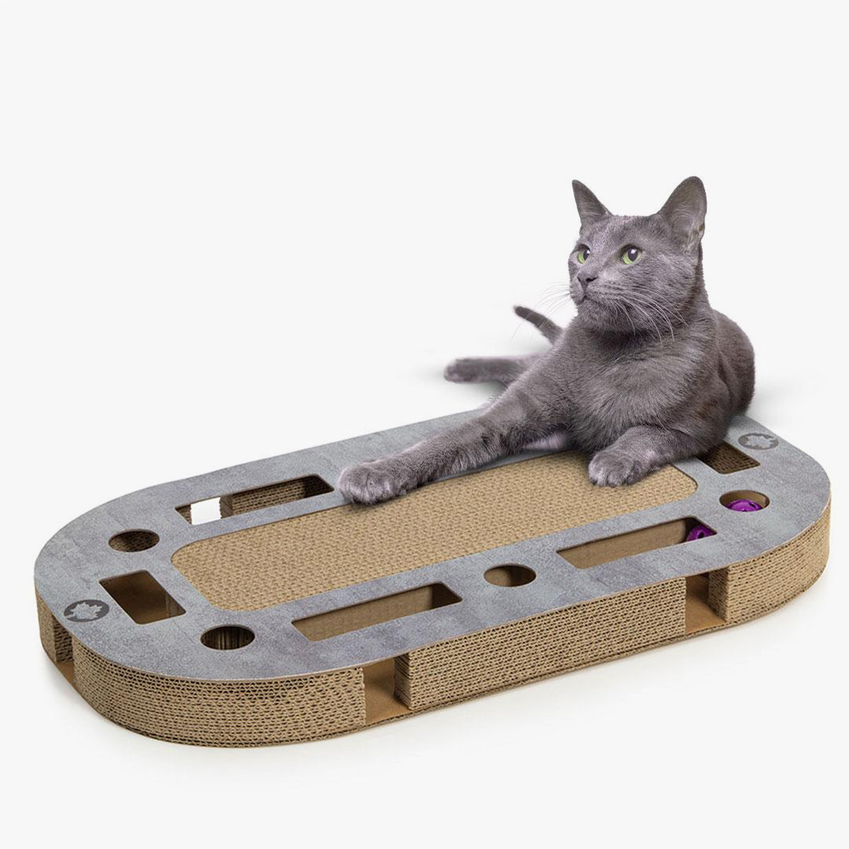 CanadianCat PlayPlate Small Cardboard Scratcher in Concrete Grey Finish for Kittens | at Made Moggie