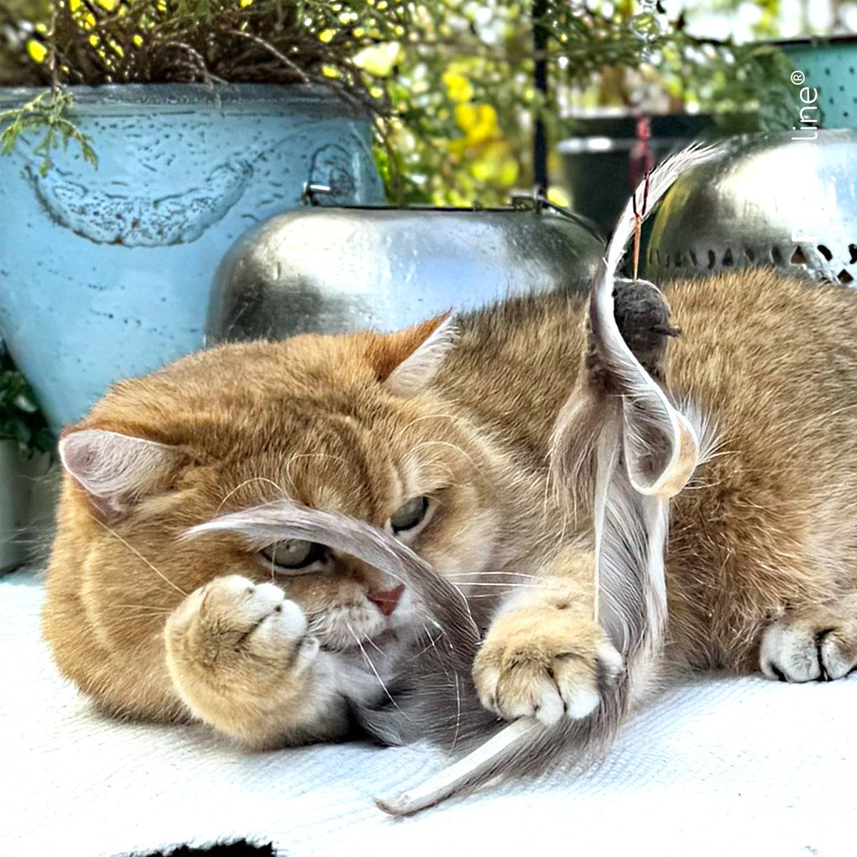 Profeline Fur Shaglet Refill, Octopus-like Cat Toy Made From Bristles & Wool | at Made Moggie