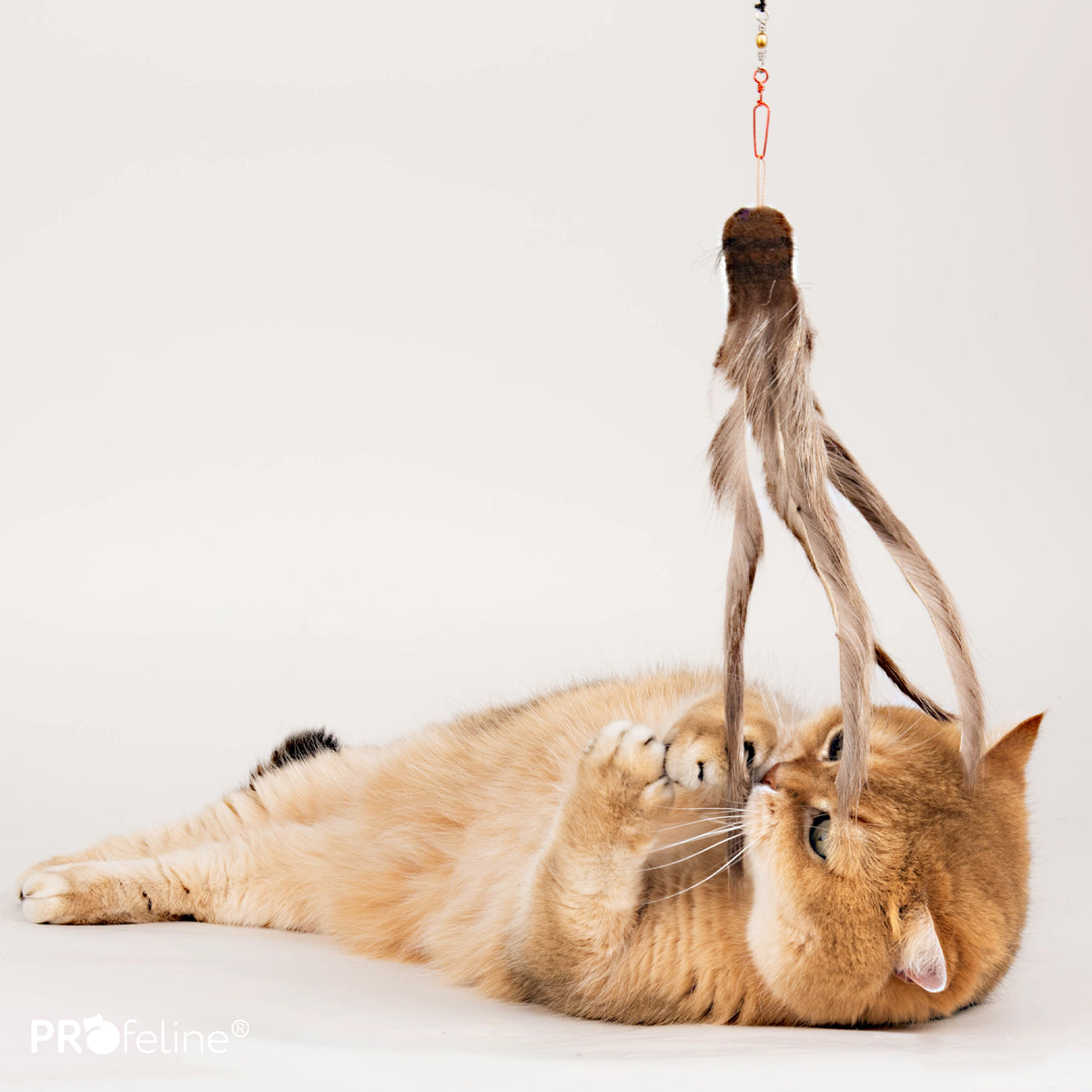 Profeline Fur Shaglet Refill, Octopus-like Cat Toy Made From Bristles & Wool | at Made Moggie