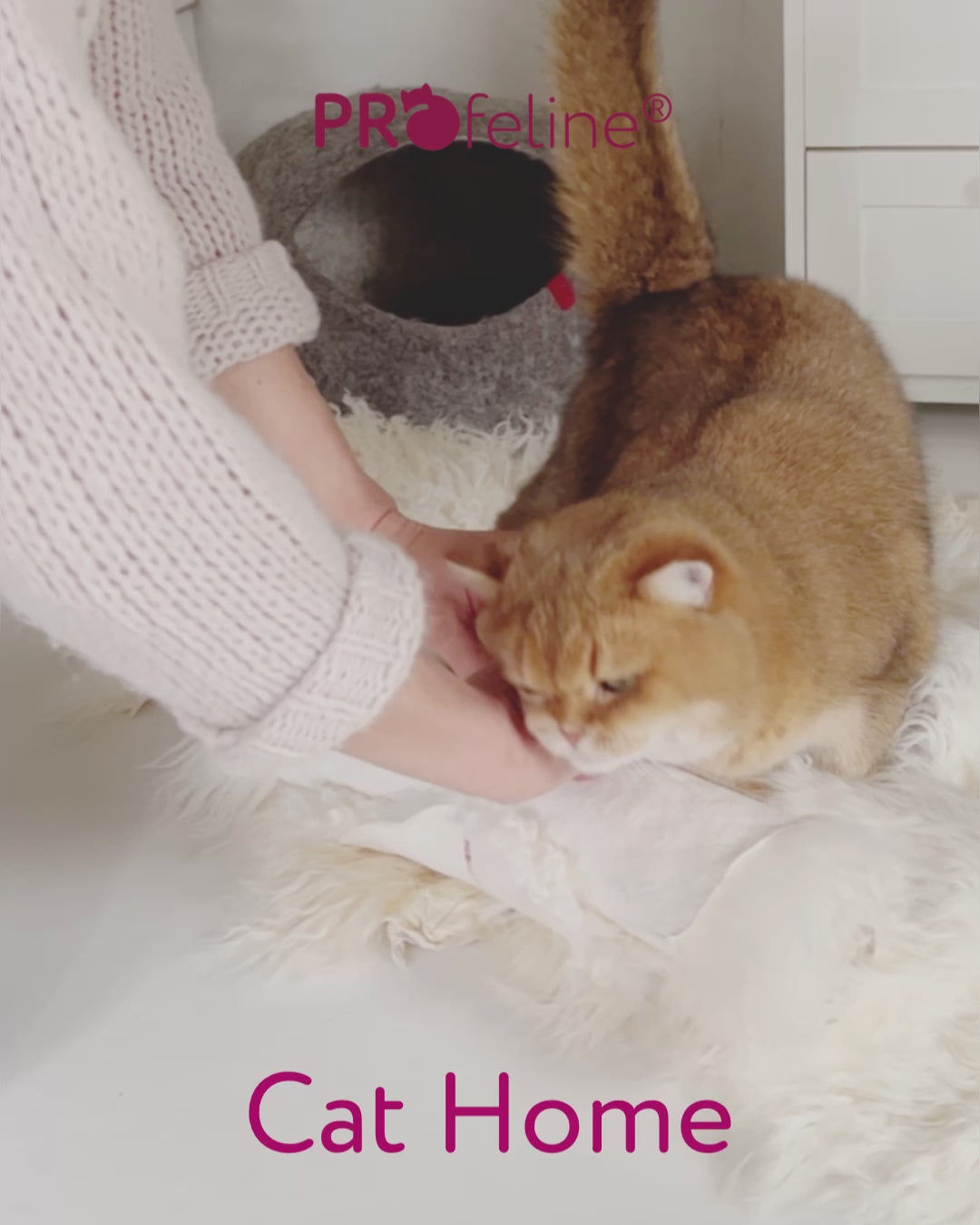 Profeline Sheepskin Cat Bed In Cream Colour | at Made Moggie