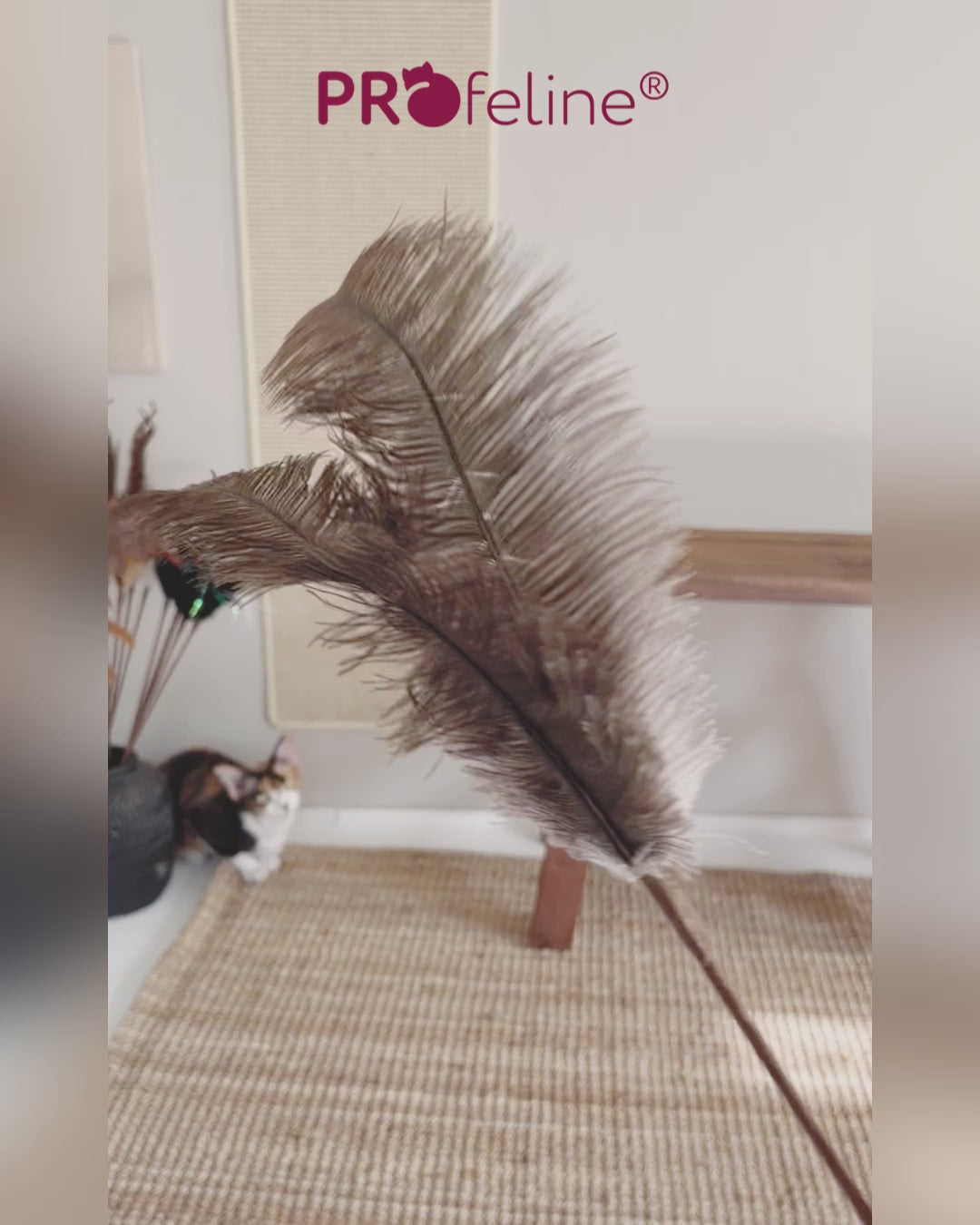 Profeline Teaser Boa Tail Feather Cat Toy | at Made Moggie