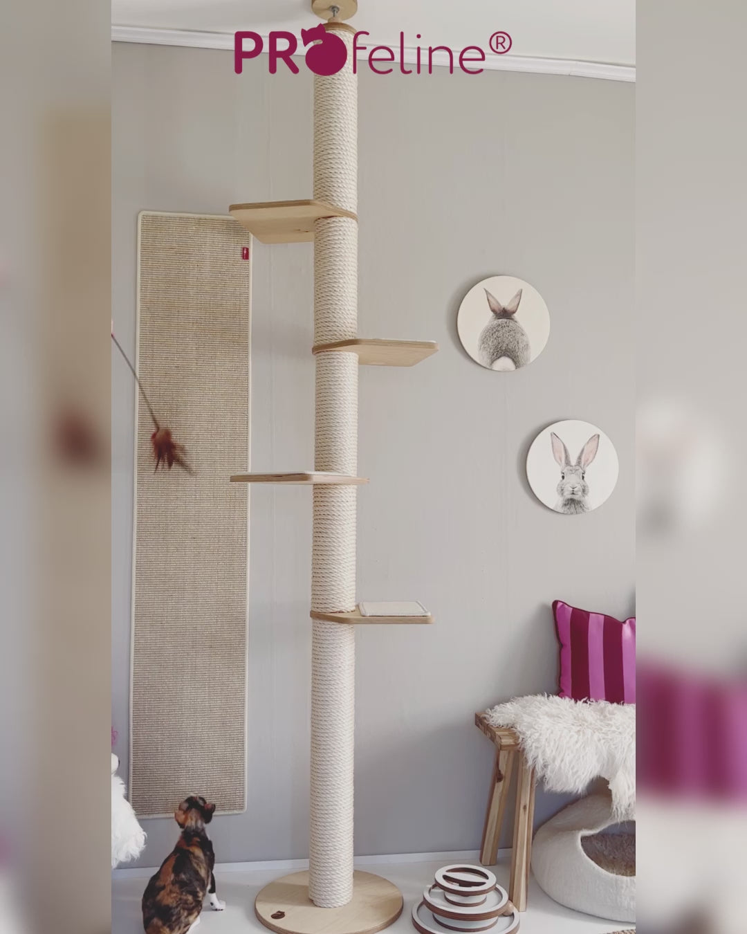 Profeline Cat Wall Furniture, With Large Cat Climber | at Made Moggie