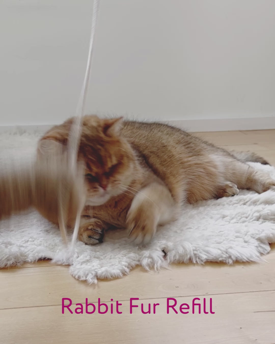 Profeline Rabbit Fur Refill Cat Toy | at Made Moggie