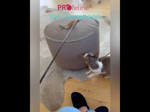 Profeline XXL Cat Fishing Rod 1m Teaser, Cat Wand With Fur and Feather Attachments | at Made Moggie