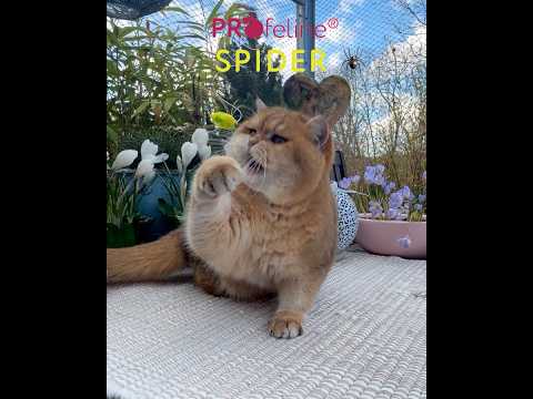 Profeline Green Creature Refills, Cat Toy Set for Wands | at Made Moggie