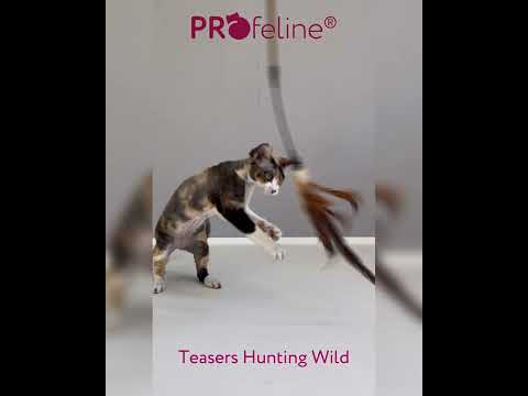 Profeline Teaser Hunting WIld, Cat Feather Wand Toy | at Made Moggie