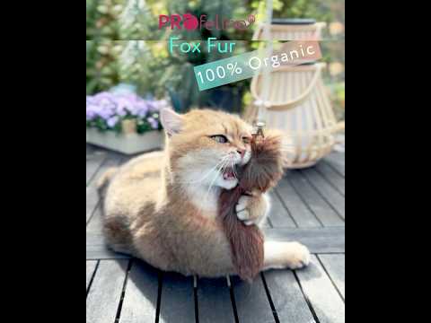 Profeline Fox Fur Refill, Cat Toy Attachment For Cat Wands | at Made Moggie