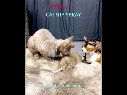 From The Field USA Catnip Spray, To Rejuvenate Cat Toys | at Made Moggie