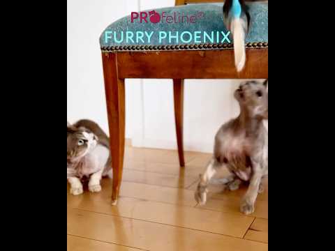 Profeline Furry Phoenix Bird, Fur & Feather Cat Toy For Wands | at Made Moggie