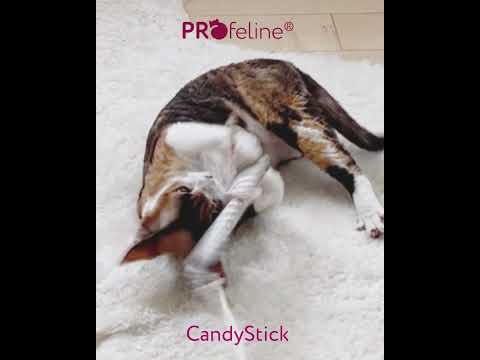Profeline Woody Wand Cat Toy, With Wood Handle & Cotton Cord | at Made Moggie