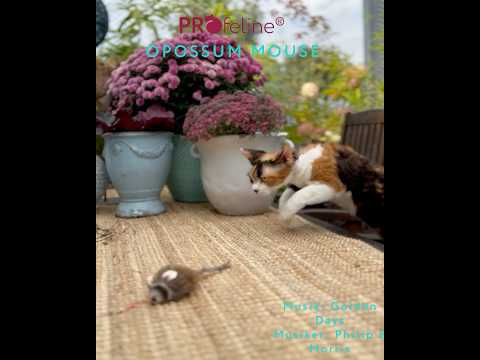 Profeline Opossum Mouse Refill, Cat Toy Made From Leather, Bristles & Wool | at Made Moggie