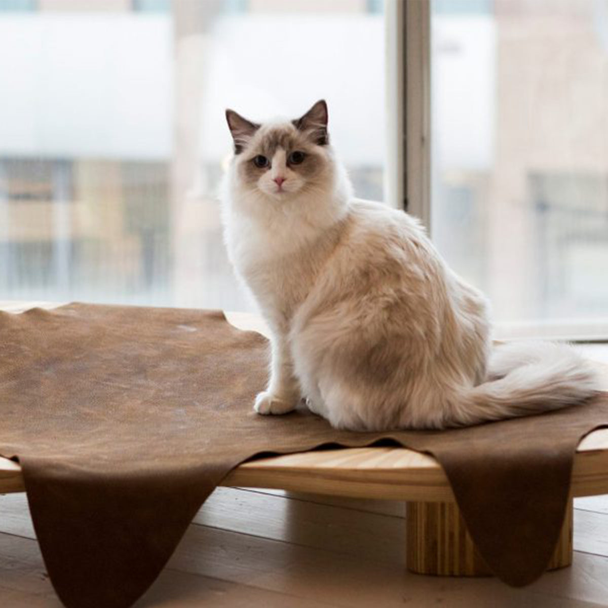 Brandodesign Modern Cat Bed In Wood & Leather | at Made Moggie