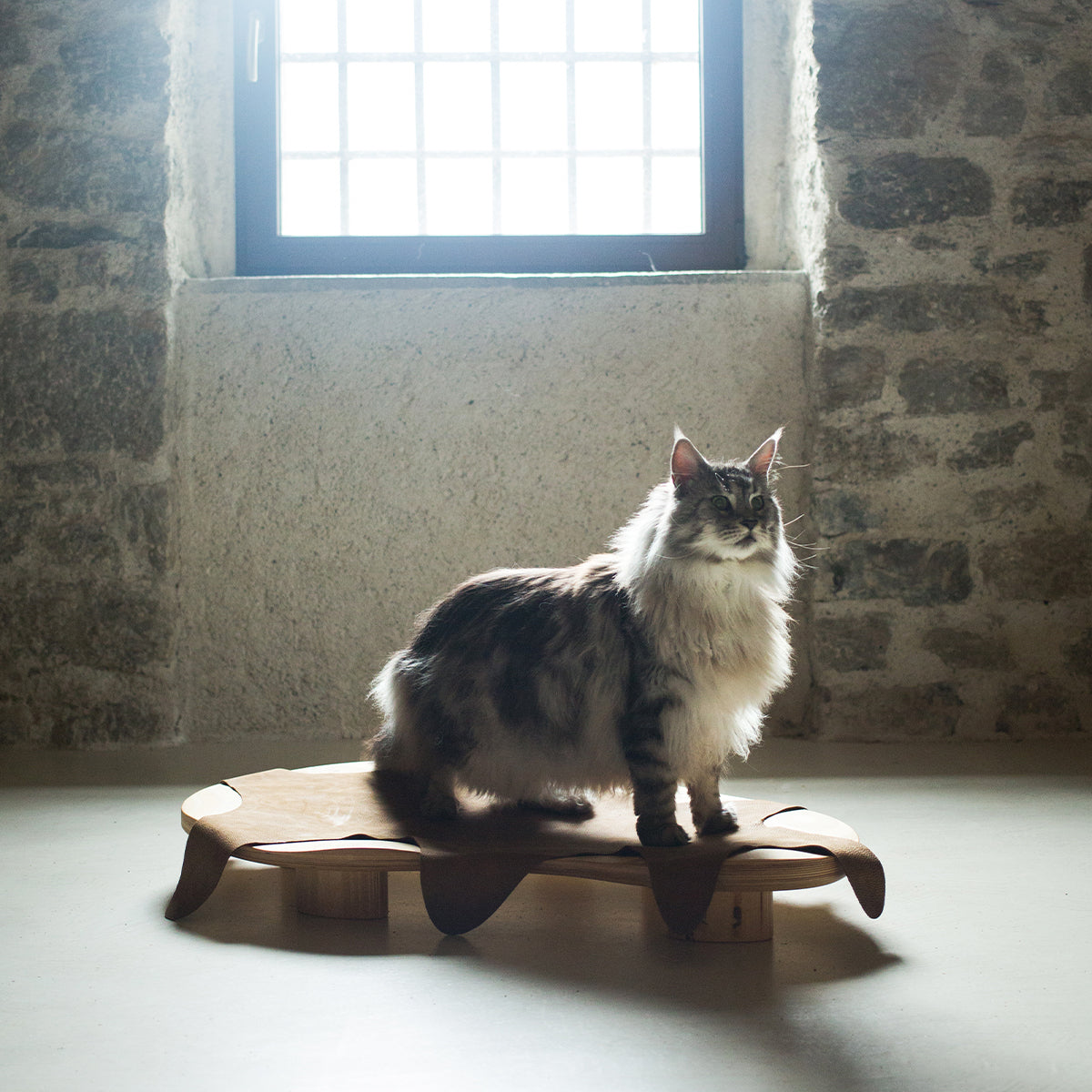 Brandodesign Large Cat Bed With Raised Wood Frame | at Made Moggie