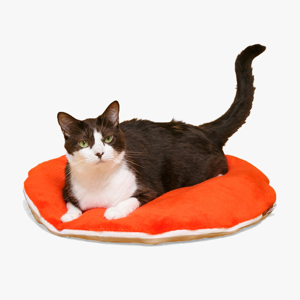 41st Century Cat Bed Cushion In Plush Red Fabric | at Made Moggie