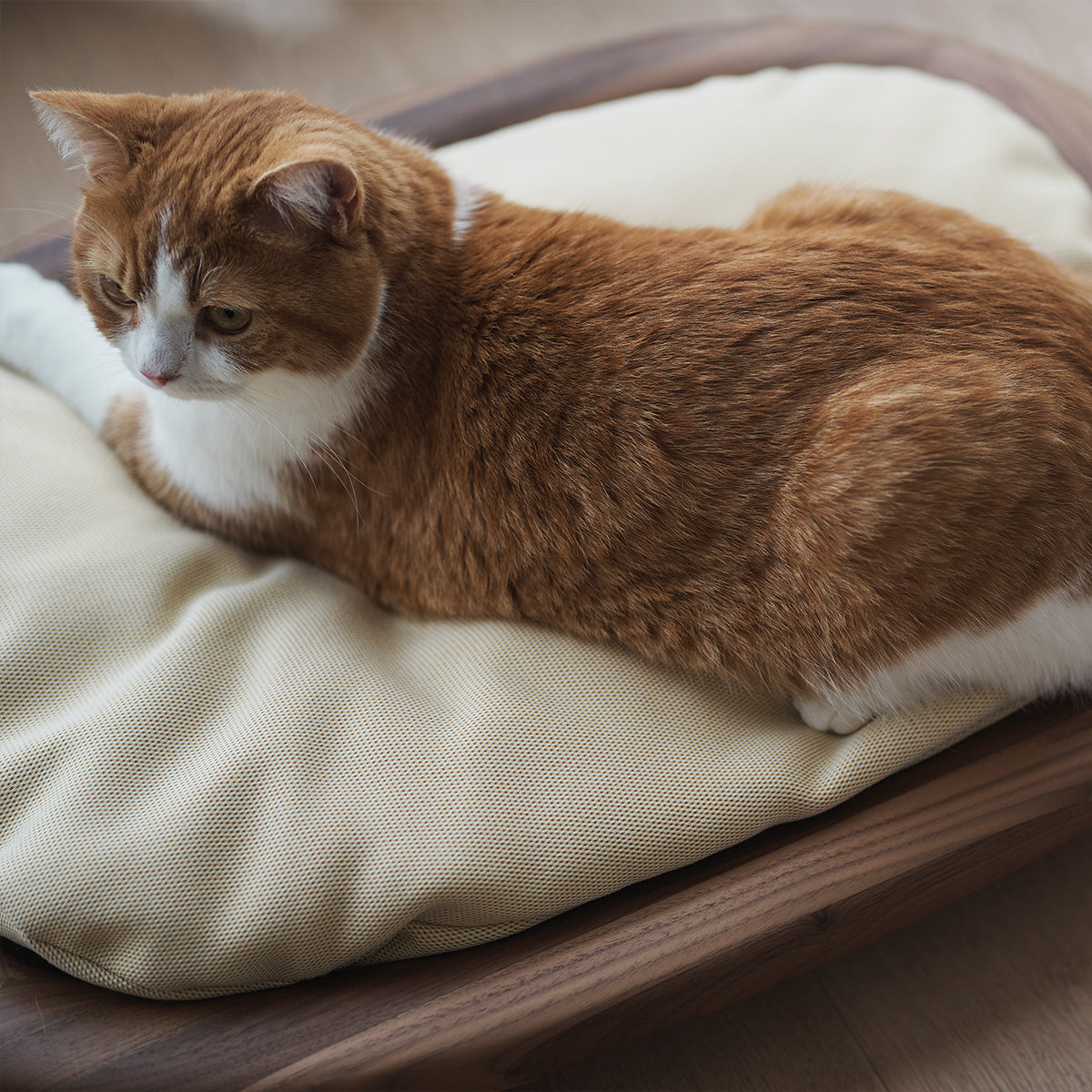 Karimoku Cat Luxury Cat Bed, Handcrafted From Solid Wood With Cushion | at Made Moggie