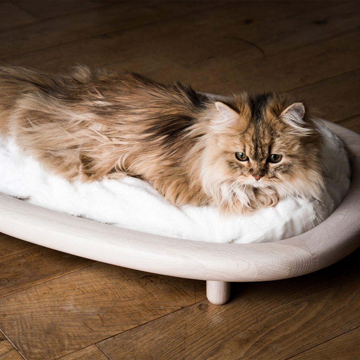 Karimoku Cat Luxury Cat Bed, With Raised Wood Base & White Cushion | at Made Moggie