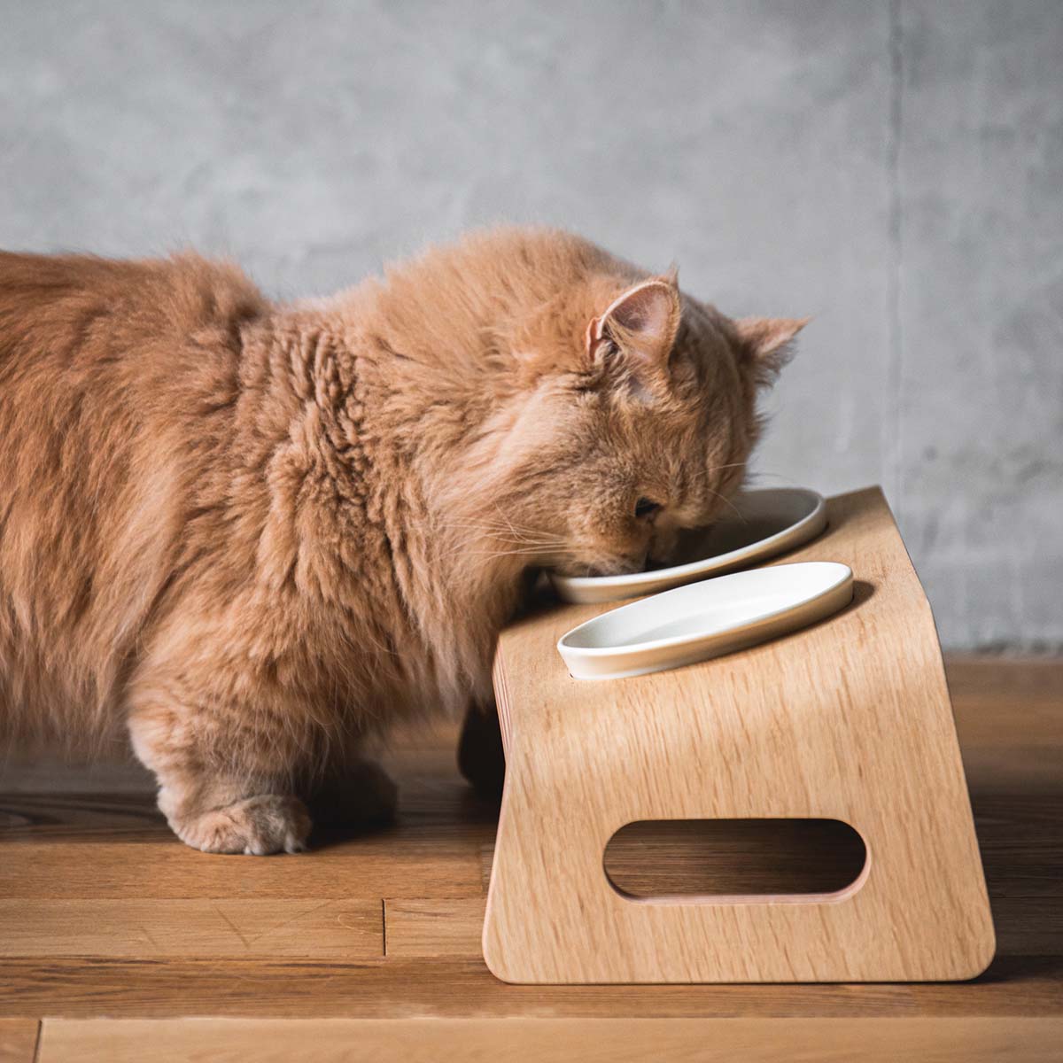 Karimoku Cat Designer Cat Bowl Stand, With Ceramic Bowls In White Porcelain | at Made Moggie