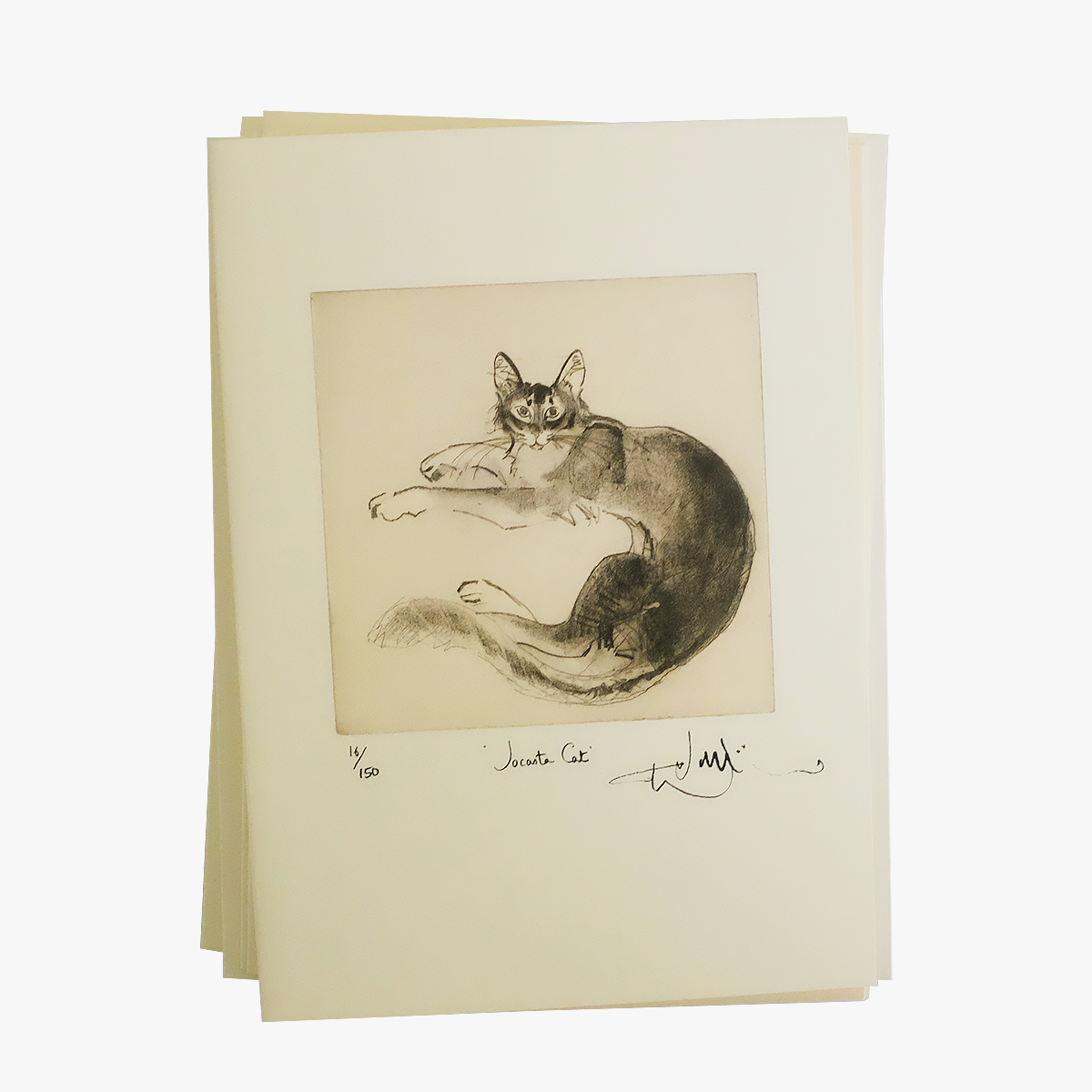 Blank Cat Card Illustrated By Artist Julian Williams | at Made Moggie