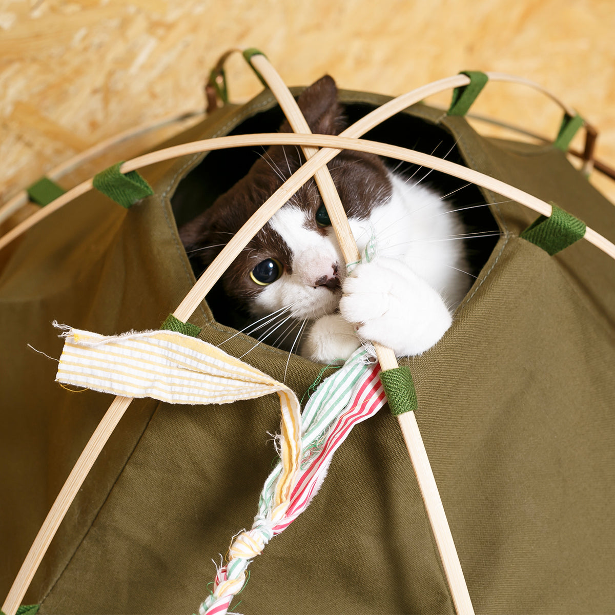 41st Century Indoor Cat Tent, With Open Ceiling For Interactive Cat Play | at Made Moggie