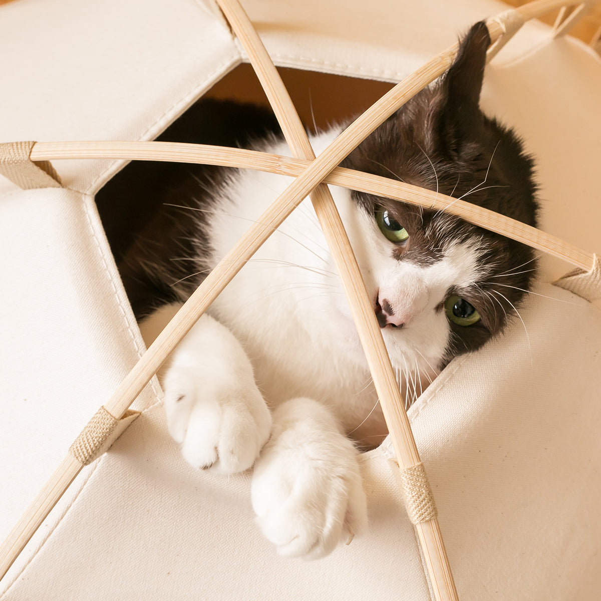 41st Century Luxury Cat Play House, In Thick White Canvas | at Made Moggie