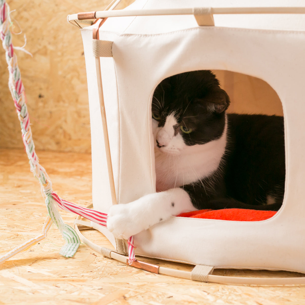 41st Century Luxury Cat Cubby, For Sleep & Interactive Play | at Made Moggie