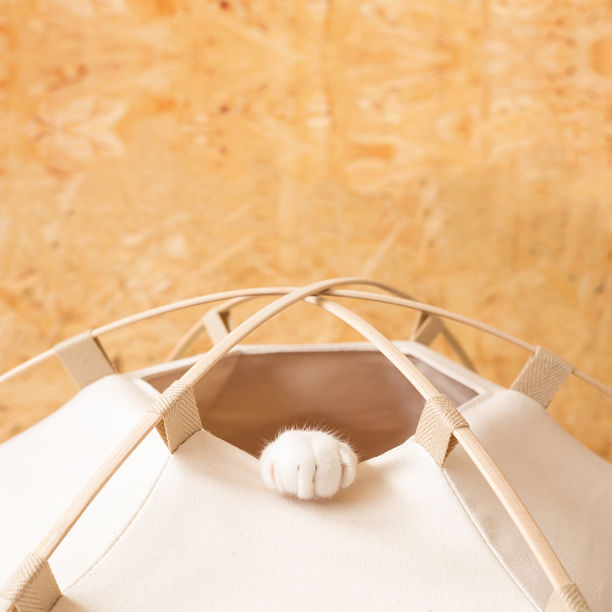 41st Century Large Cat House, Handmade In Japan | at Made Moggie
