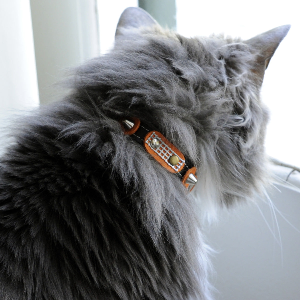 Cat collar clearance spikes