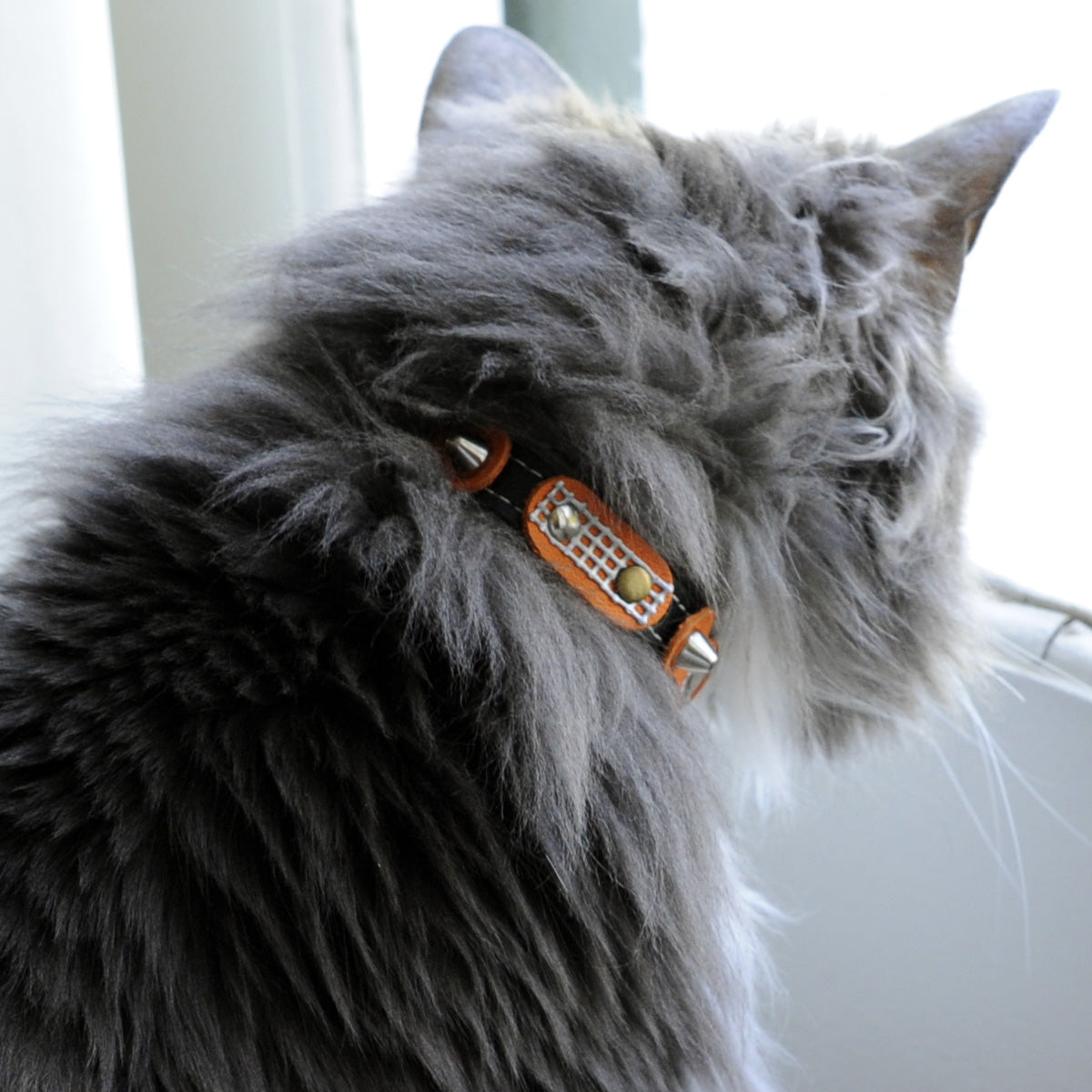 Superpipapo Luxury Leather Cat Collar, In Black With Studs, Spikes & Retro Orange Patches | at Made Moggie